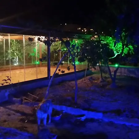Family Cave Hotel