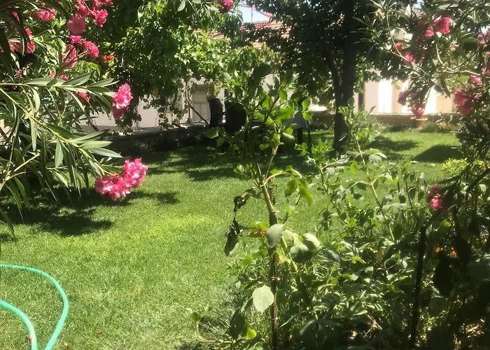 Family Cave Hotell Göreme